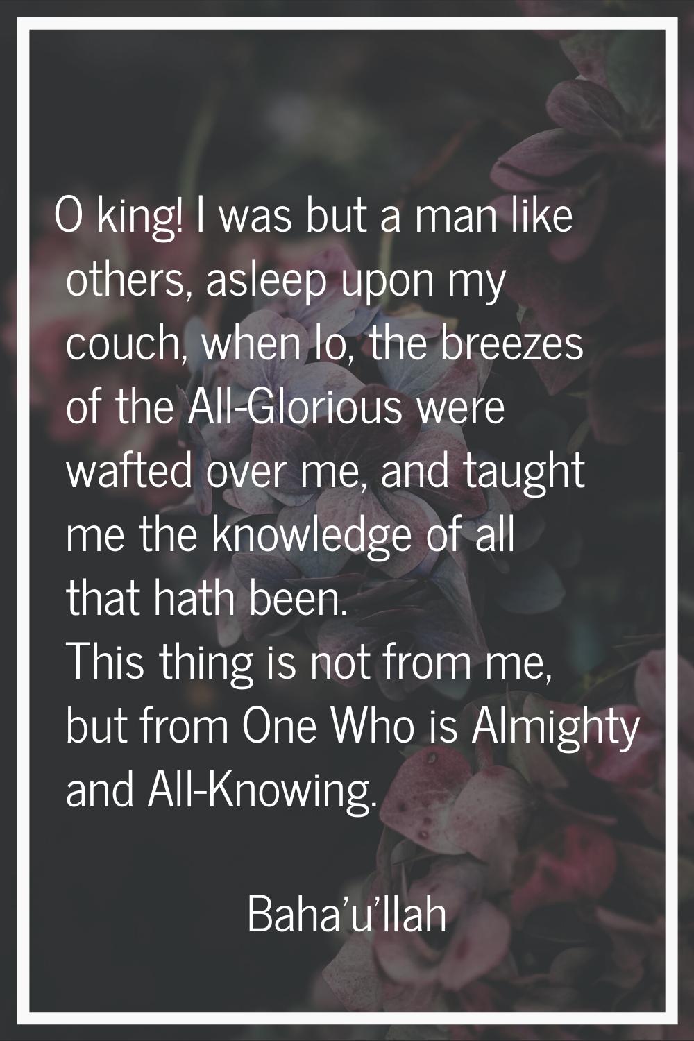 O king! I was but a man like others, asleep upon my couch, when lo, the breezes of the All-Glorious