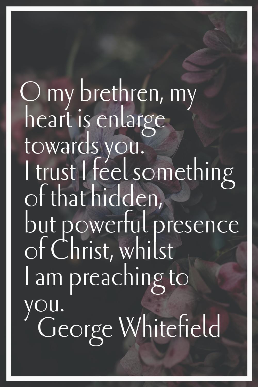 O my brethren, my heart is enlarge towards you. I trust I feel something of that hidden, but powerf