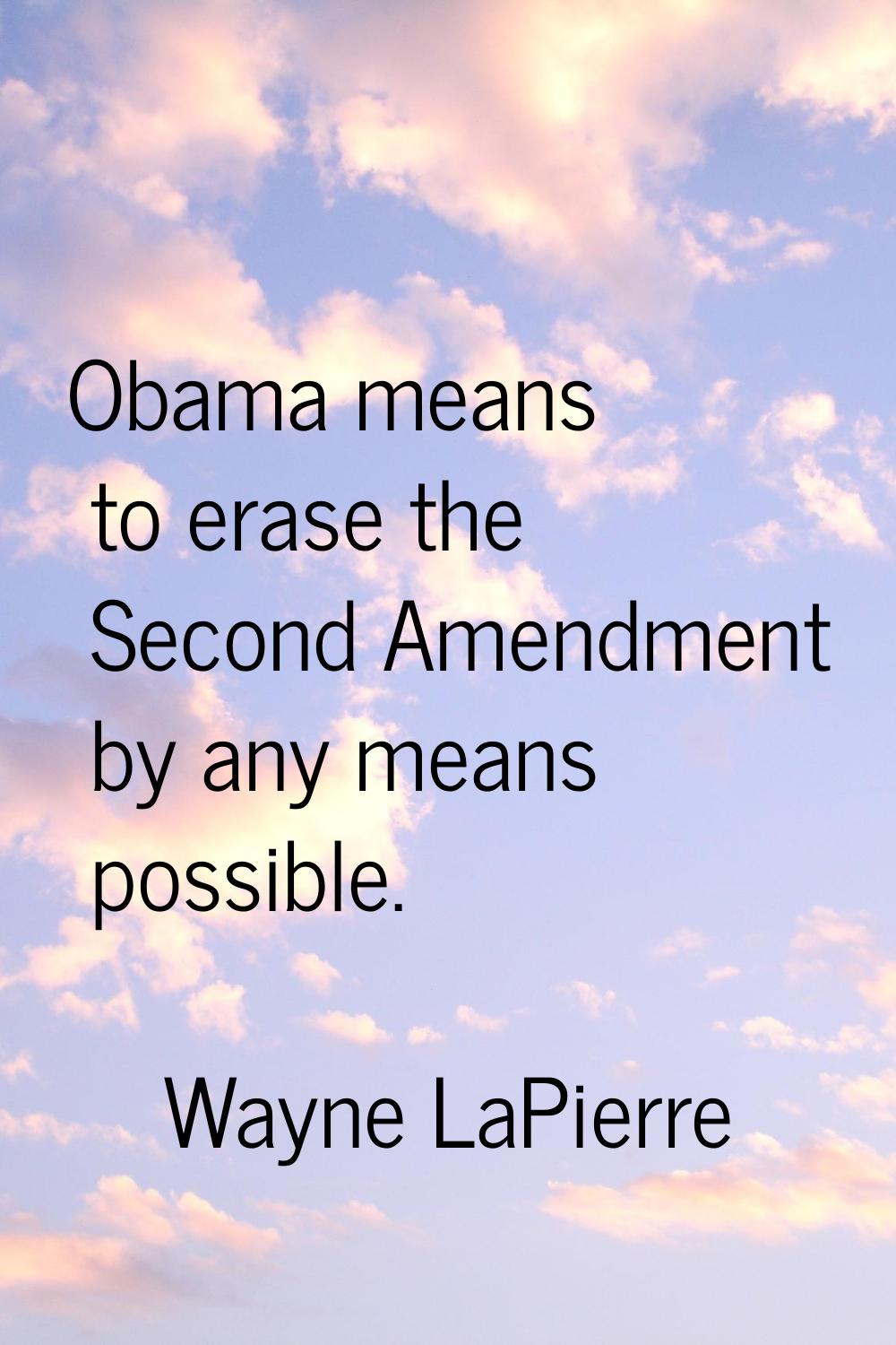 Obama means to erase the Second Amendment by any means possible.