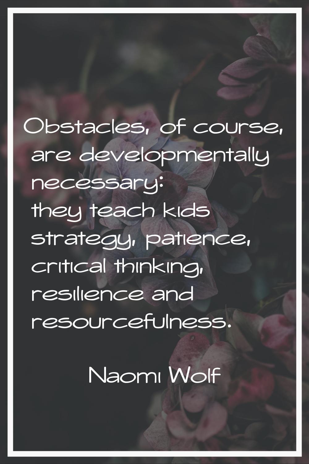 Obstacles, of course, are developmentally necessary: they teach kids strategy, patience, critical t