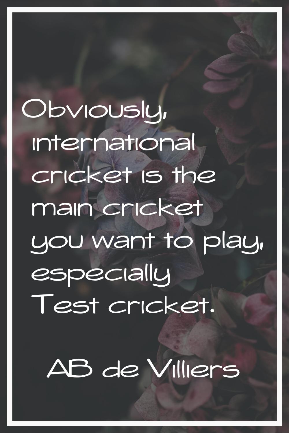 Obviously, international cricket is the main cricket you want to play, especially Test cricket.