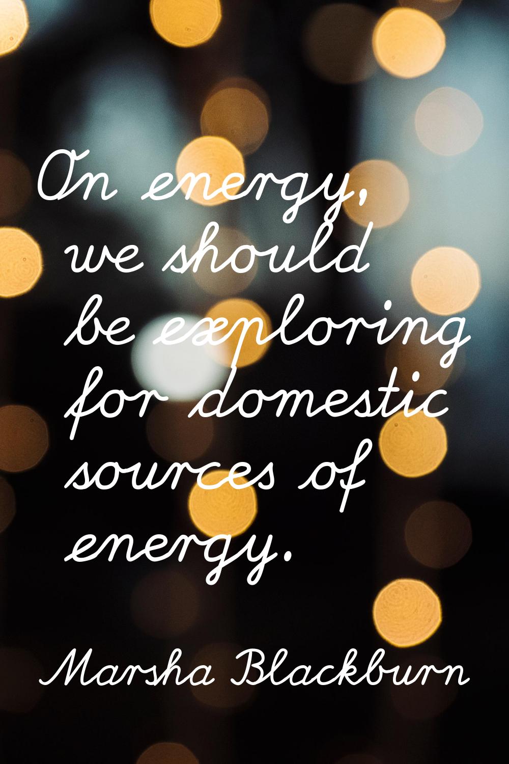 On energy, we should be exploring for domestic sources of energy.