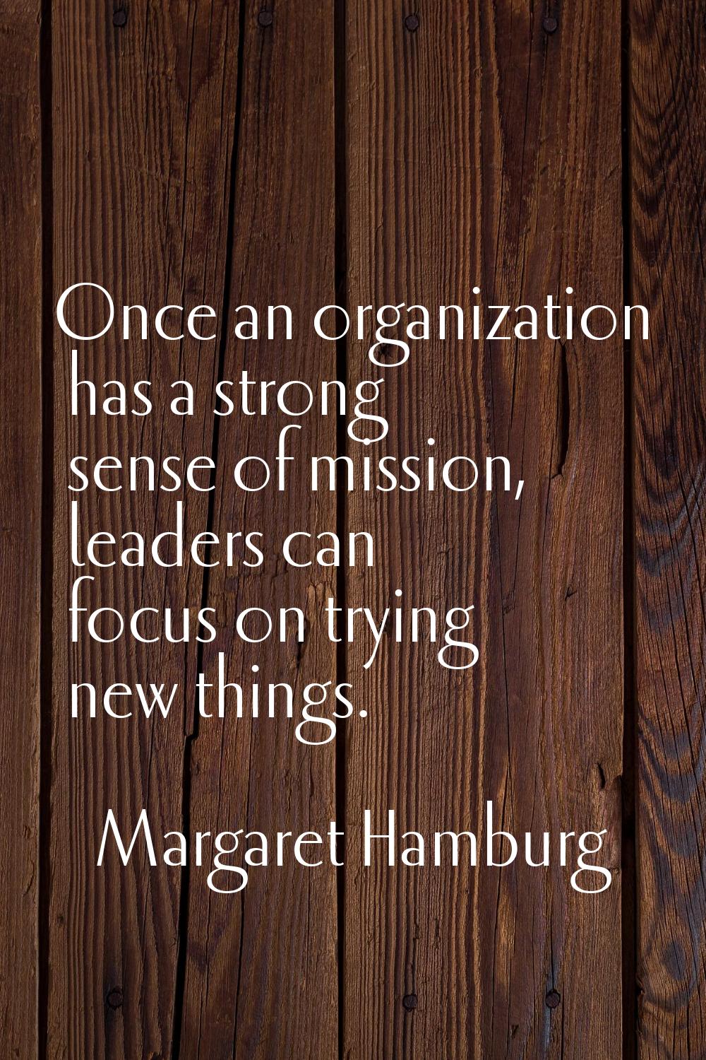 Once an organization has a strong sense of mission, leaders can focus on trying new things.