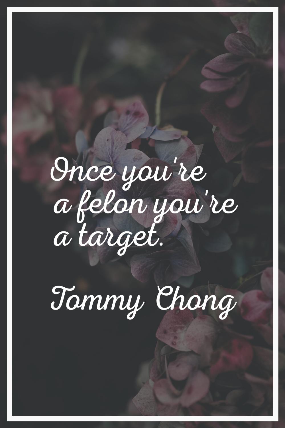 Once you're a felon you're a target.