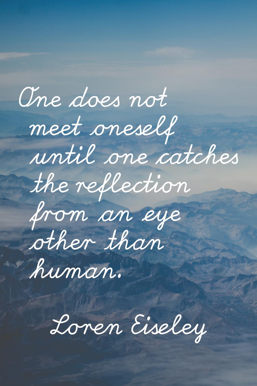 One does not meet oneself until one catches the reflection from an eye other than human.