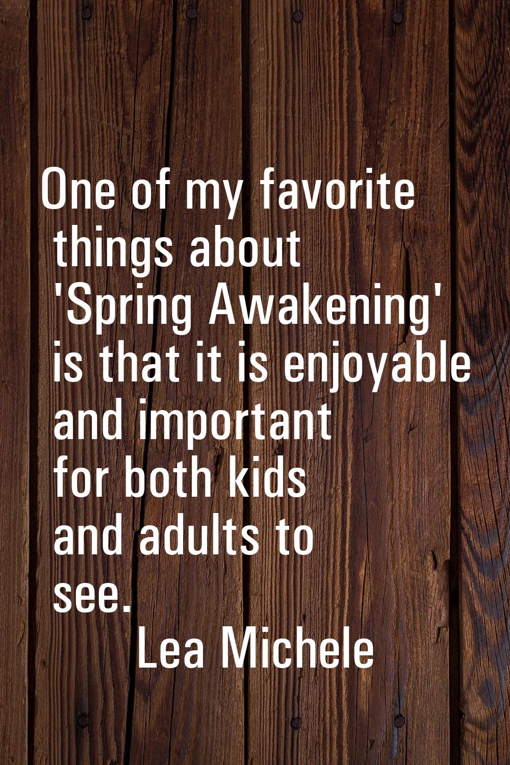 One of my favorite things about 'Spring Awakening' is that it is enjoyable and important for both k