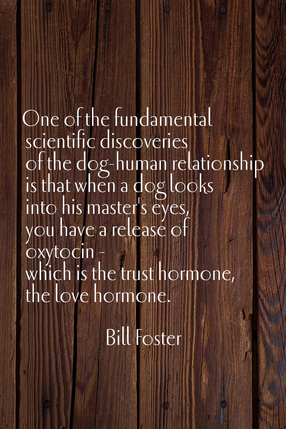 One of the fundamental scientific discoveries of the dog-human relationship is that when a dog look