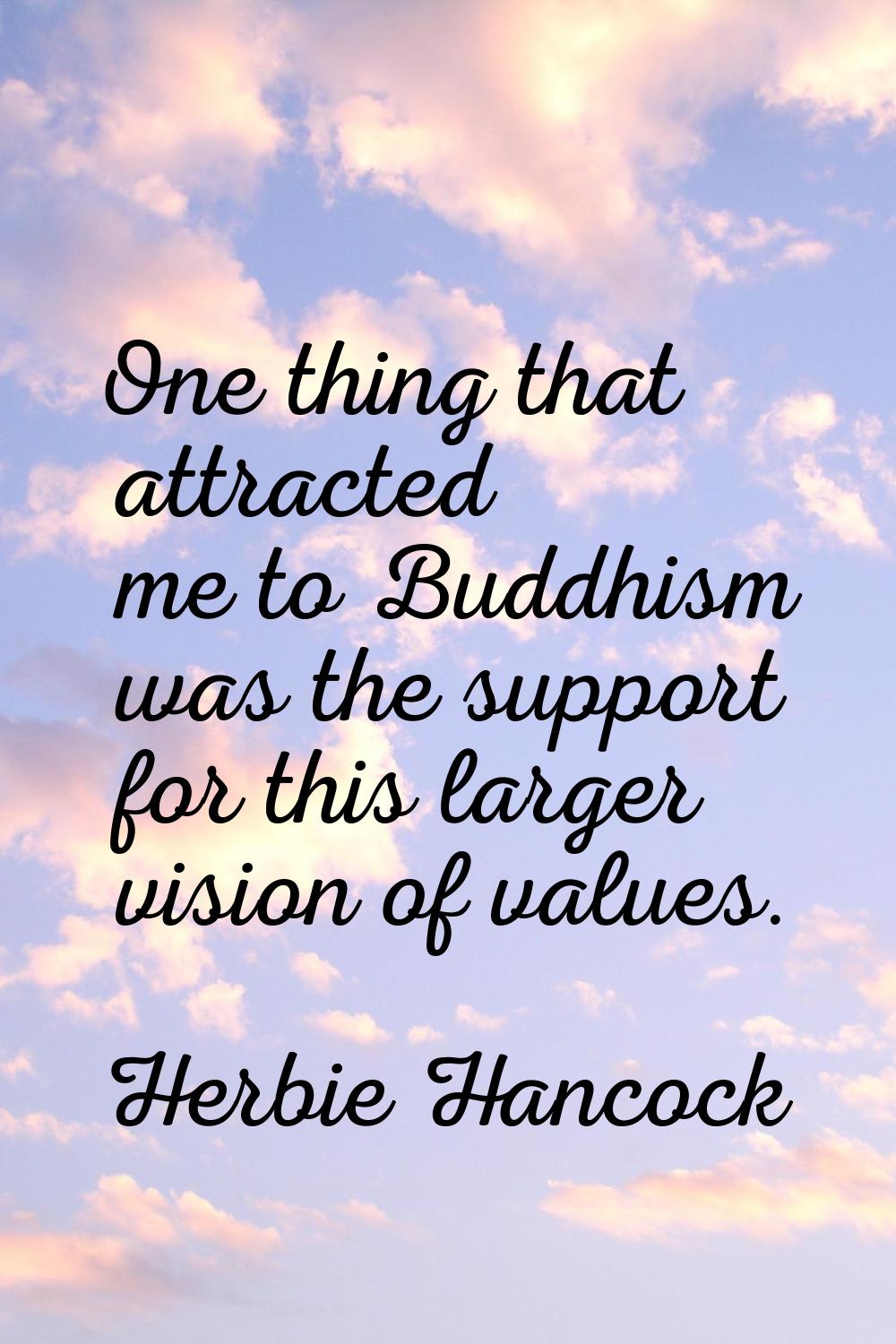 One thing that attracted me to Buddhism was the support for this larger vision of values.