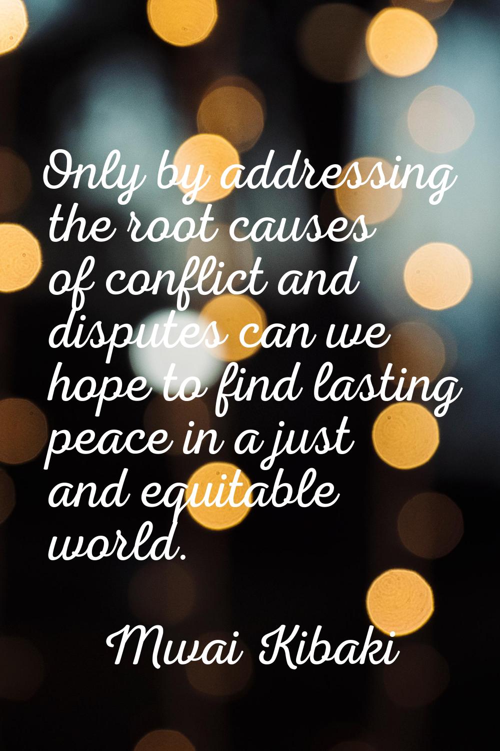 Only by addressing the root causes of conflict and disputes can we hope to find lasting peace in a 