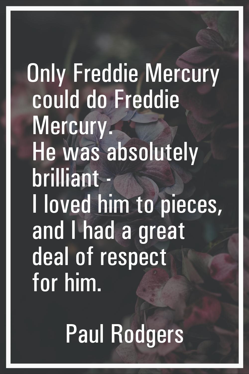 Only Freddie Mercury could do Freddie Mercury. He was absolutely brilliant - I loved him to pieces,