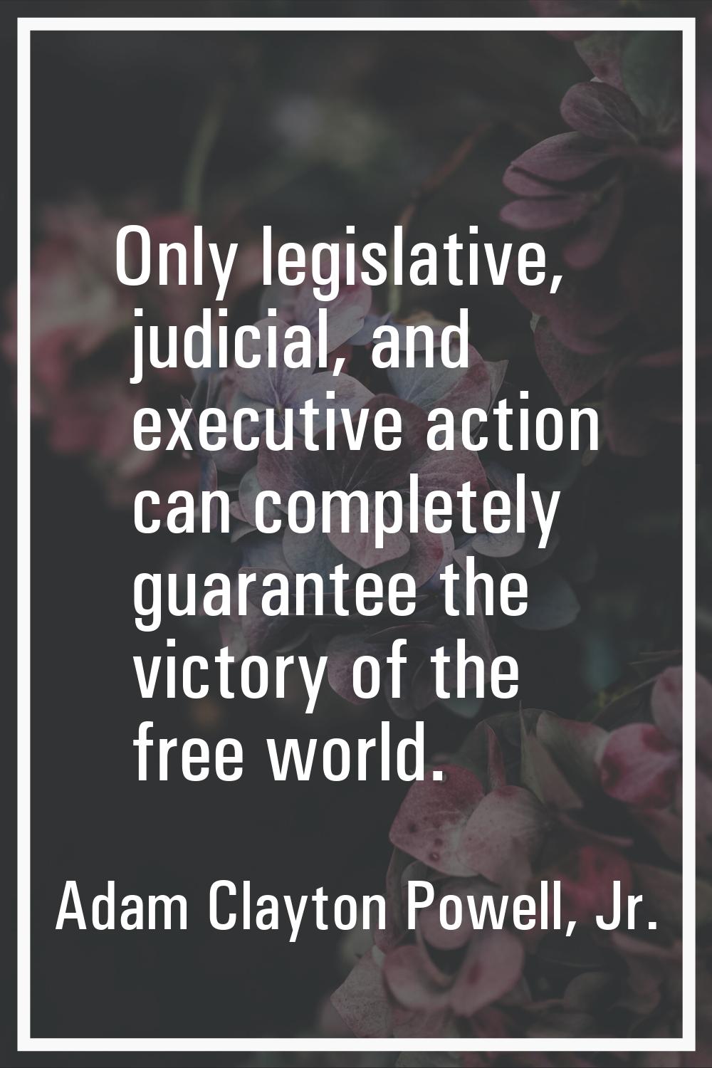 Only legislative, judicial, and executive action can completely guarantee the victory of the free w