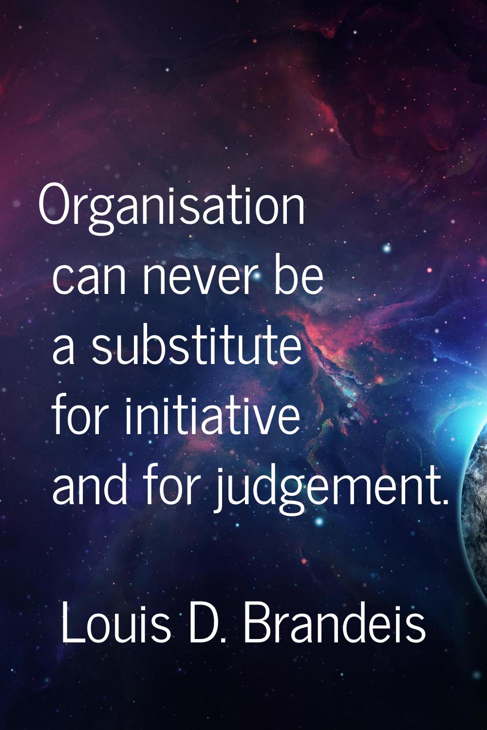 Organisation can never be a substitute for initiative and for judgement.