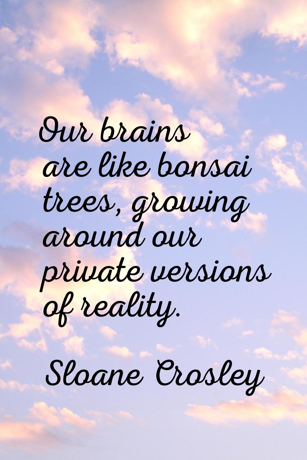 Our brains are like bonsai trees, growing around our private versions of reality.