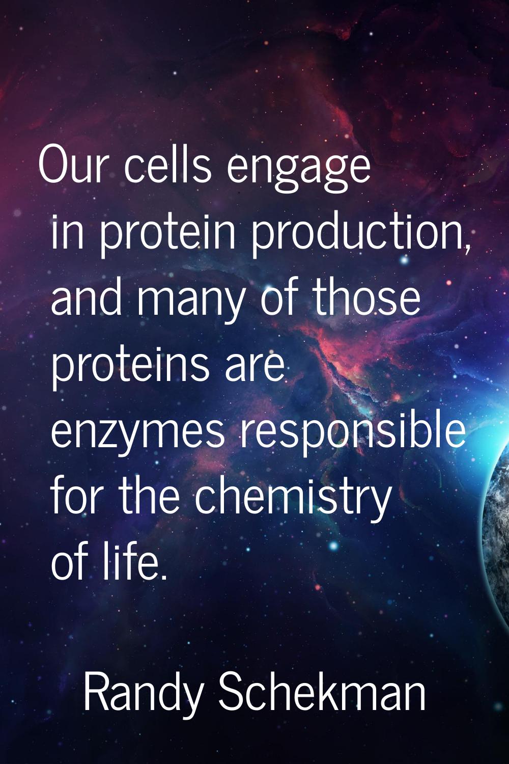 Our cells engage in protein production, and many of those proteins are enzymes responsible for the 