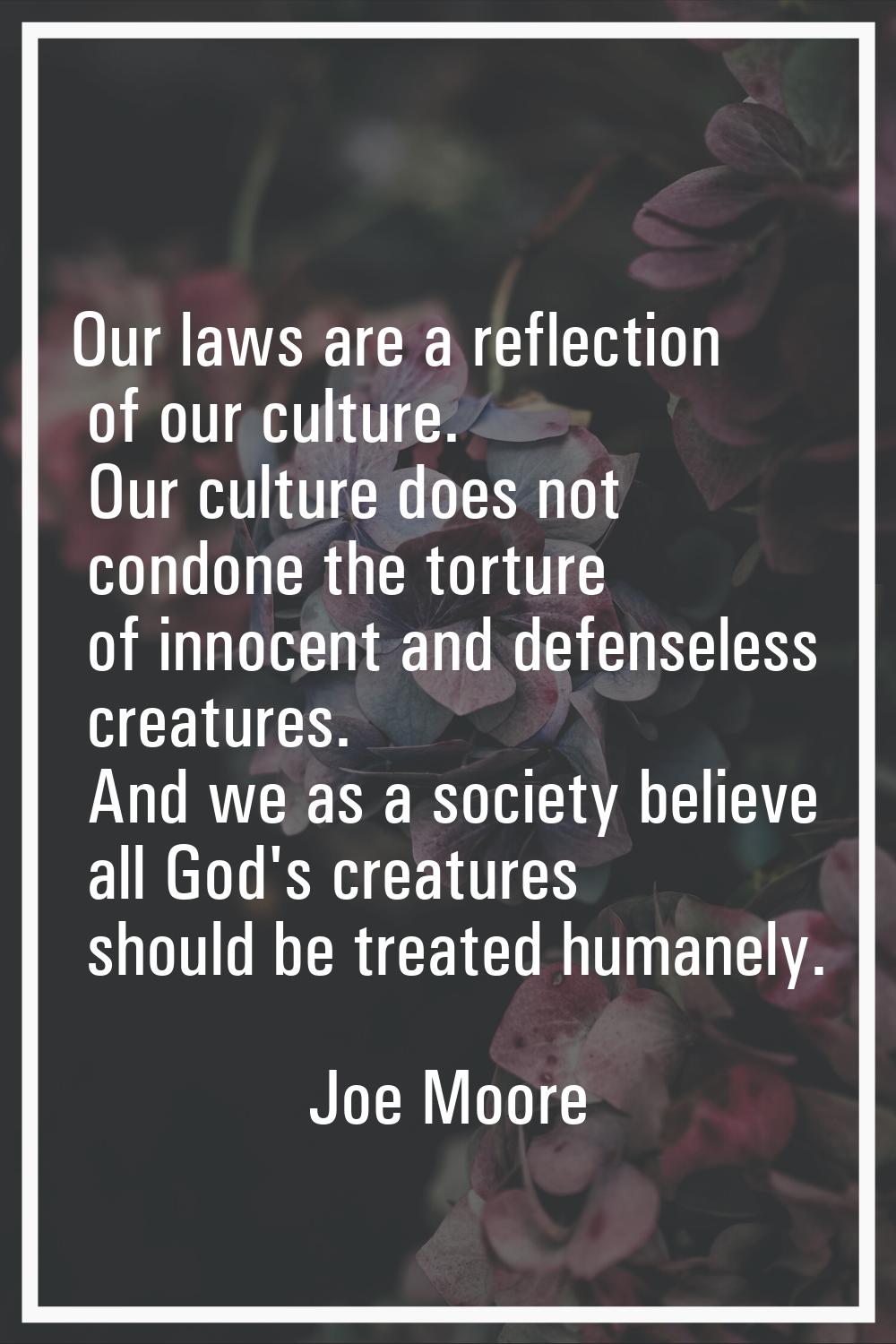 Our laws are a reflection of our culture. Our culture does not condone the torture of innocent and 