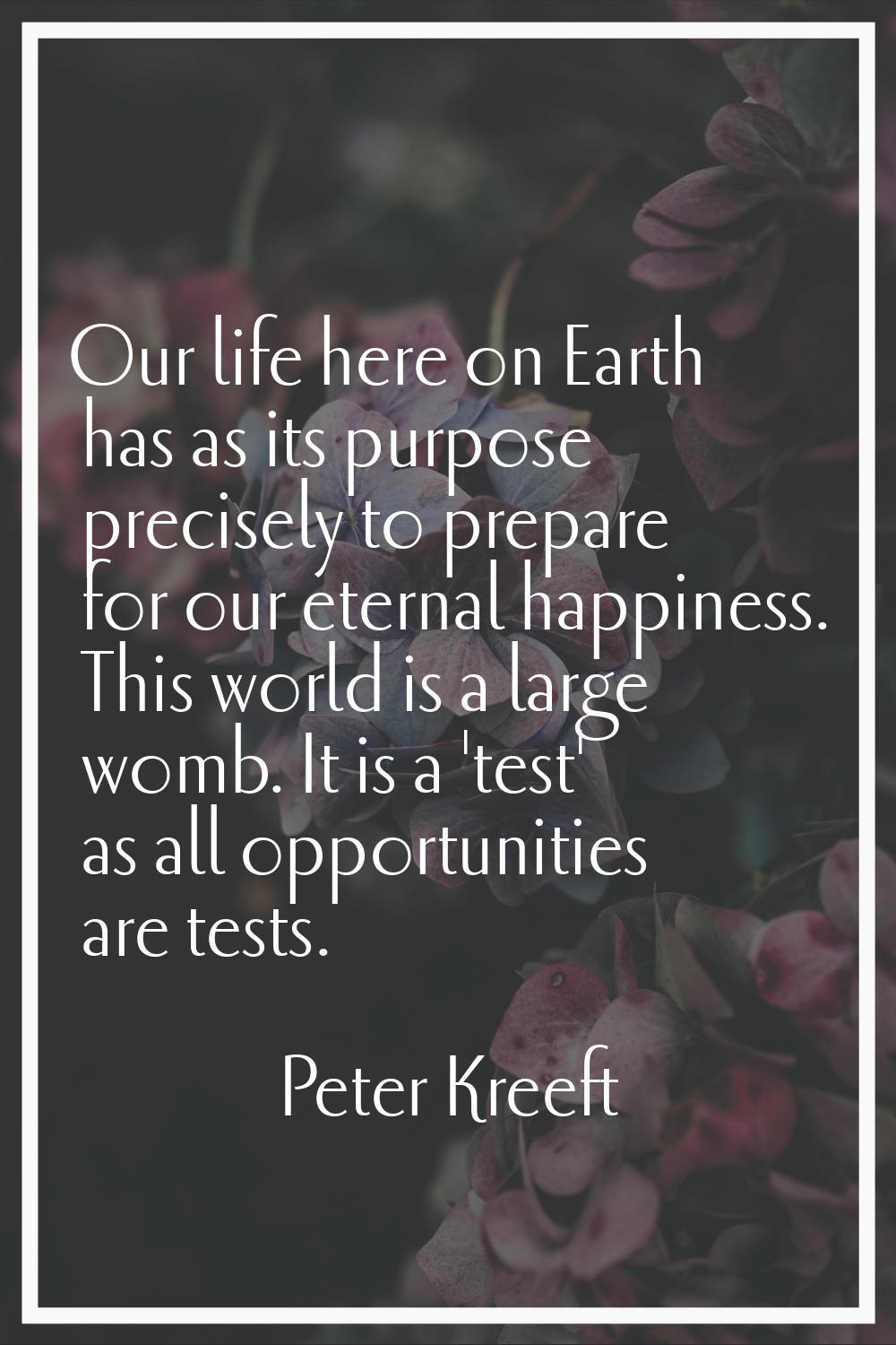 Our life here on Earth has as its purpose precisely to prepare for our eternal happiness. This worl