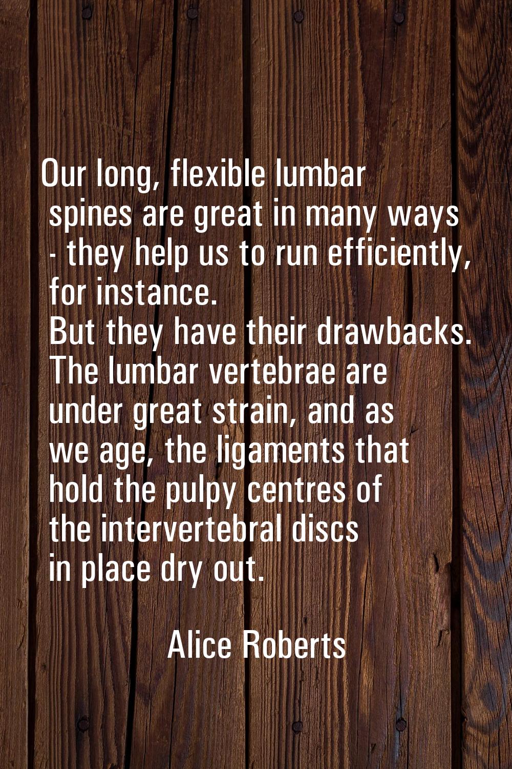 Our long, flexible lumbar spines are great in many ways - they help us to run efficiently, for inst