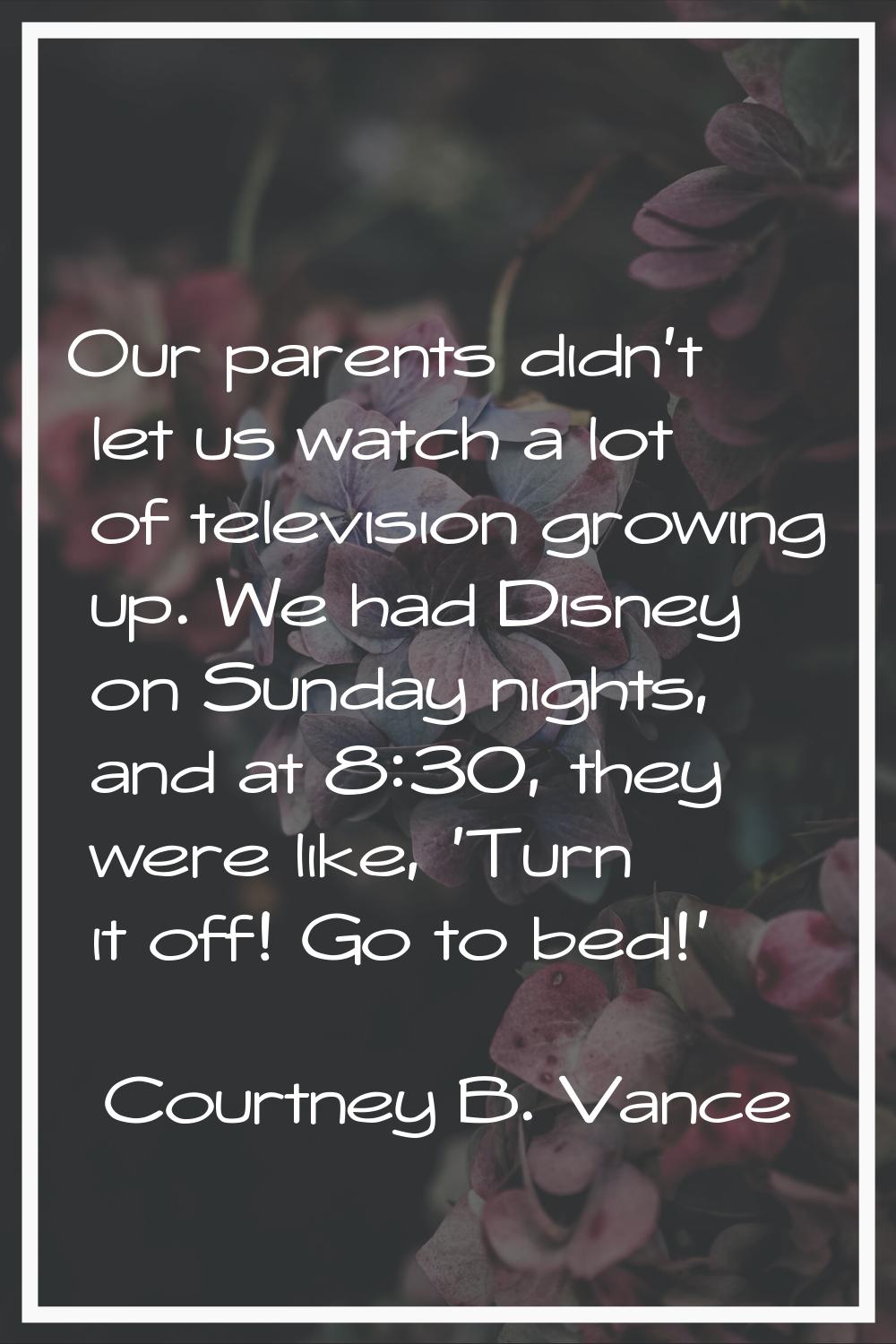 Our parents didn't let us watch a lot of television growing up. We had Disney on Sunday nights, and