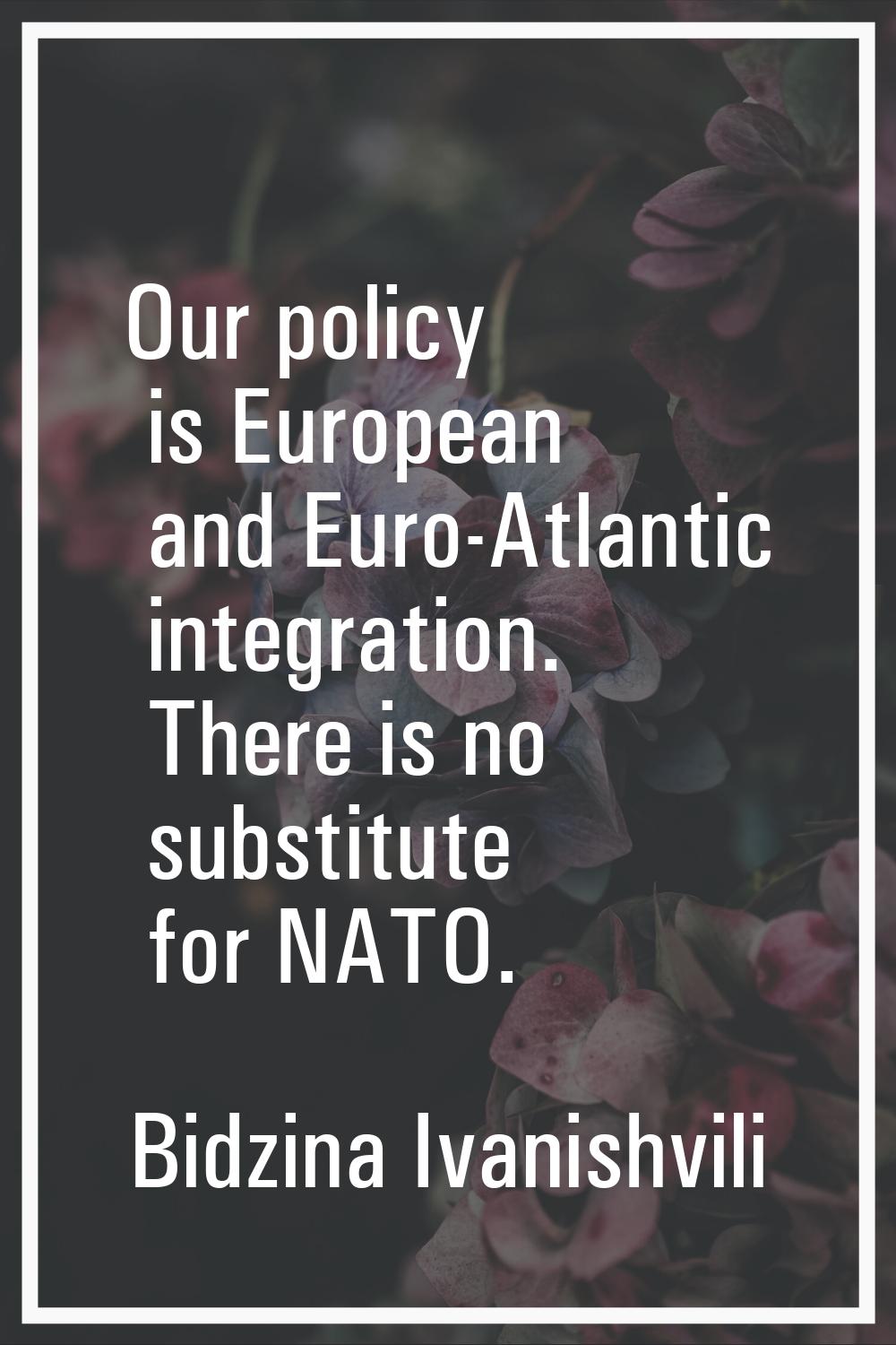 Our policy is European and Euro-Atlantic integration. There is no substitute for NATO.