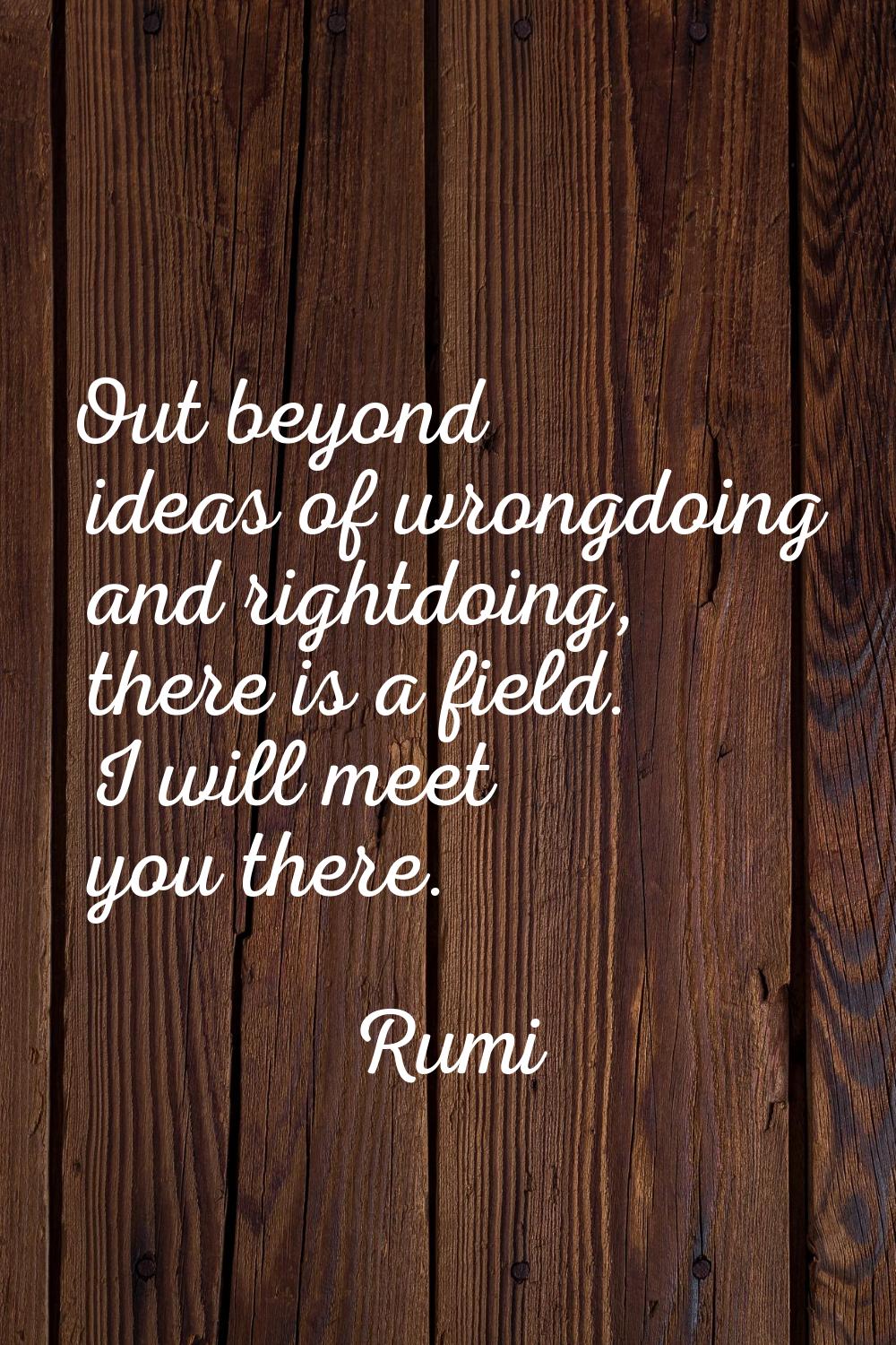 Out beyond ideas of wrongdoing and rightdoing, there is a field. I will meet you there.