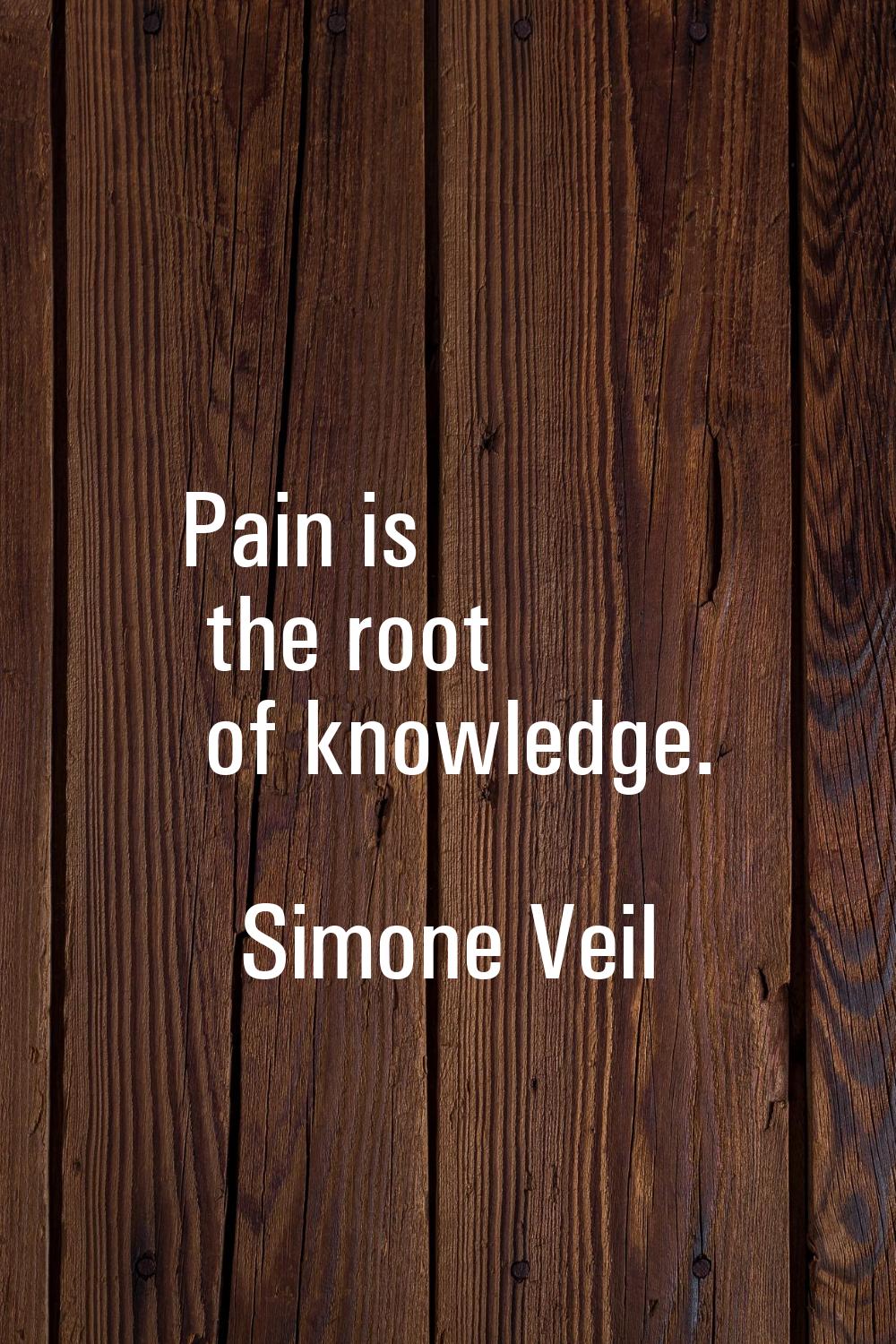Pain is the root of knowledge.