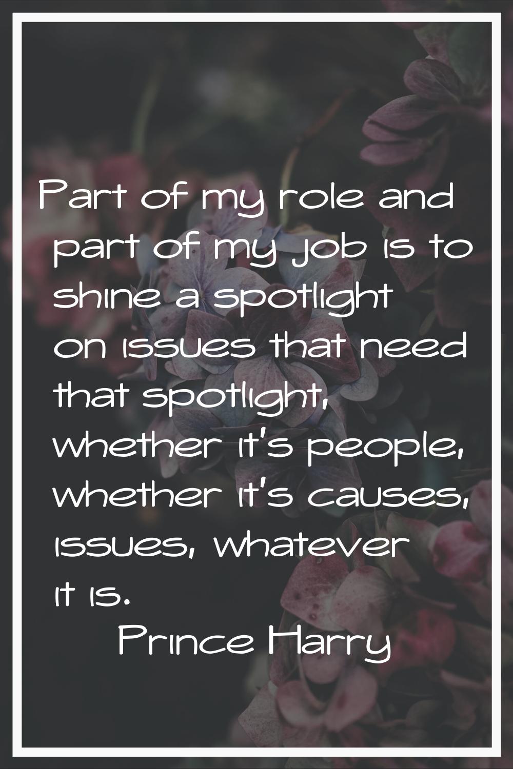 Part of my role and part of my job is to shine a spotlight on issues that need that spotlight, whet