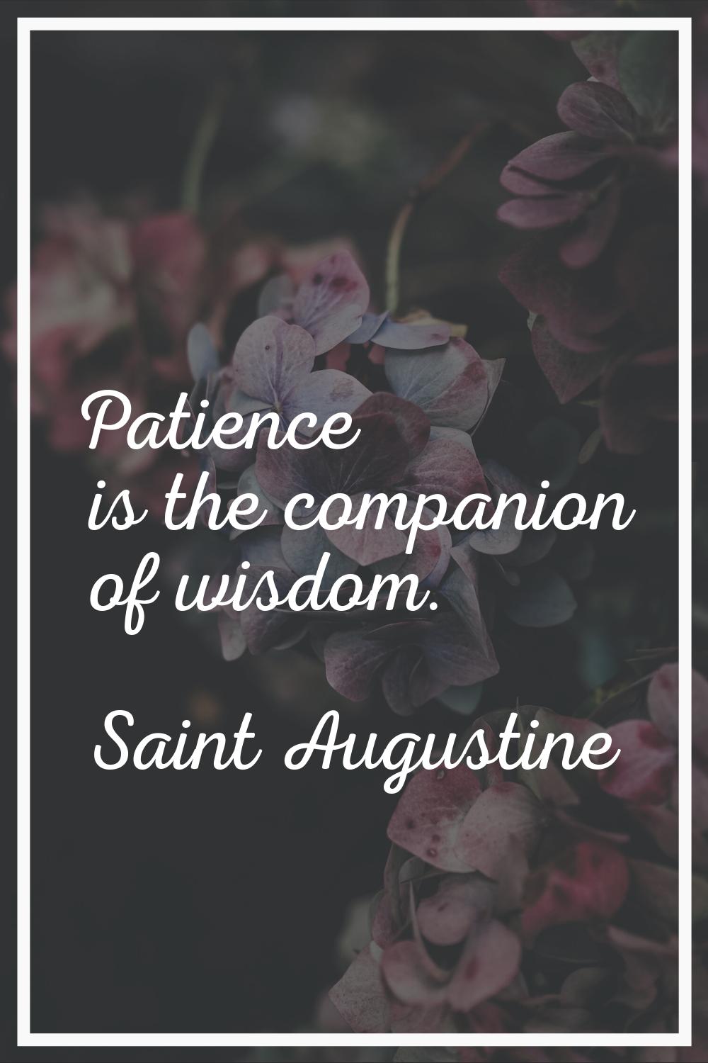 Patience is the companion of wisdom.