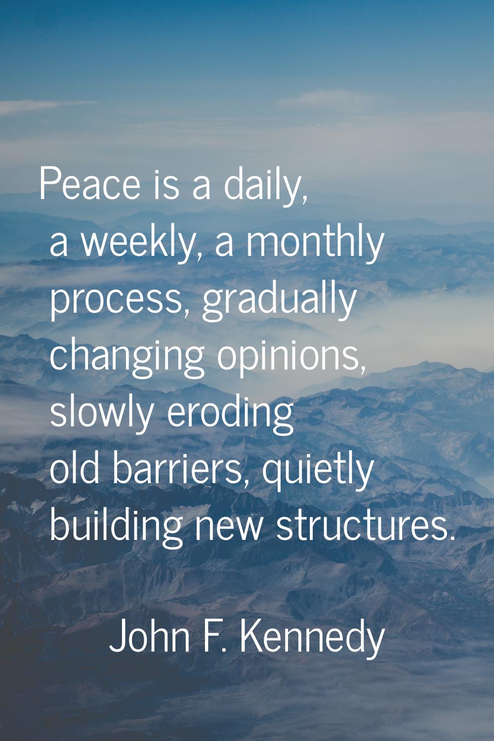 Peace is a daily, a weekly, a monthly process, gradually changing opinions, slowly eroding old barr