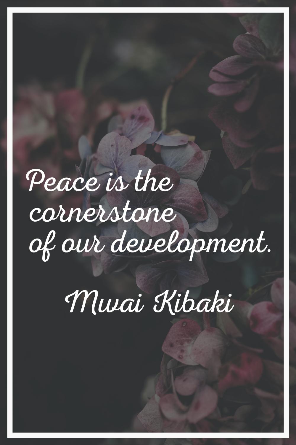 Peace is the cornerstone of our development.