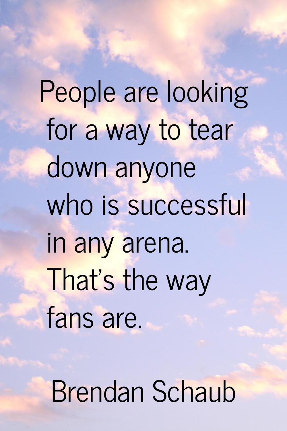 People are looking for a way to tear down anyone who is successful in any arena. That's the way fan