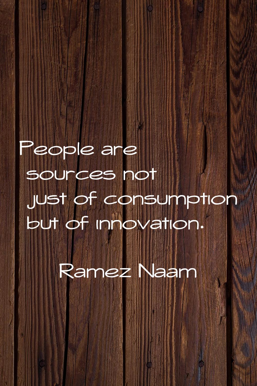 People are sources not just of consumption but of innovation.