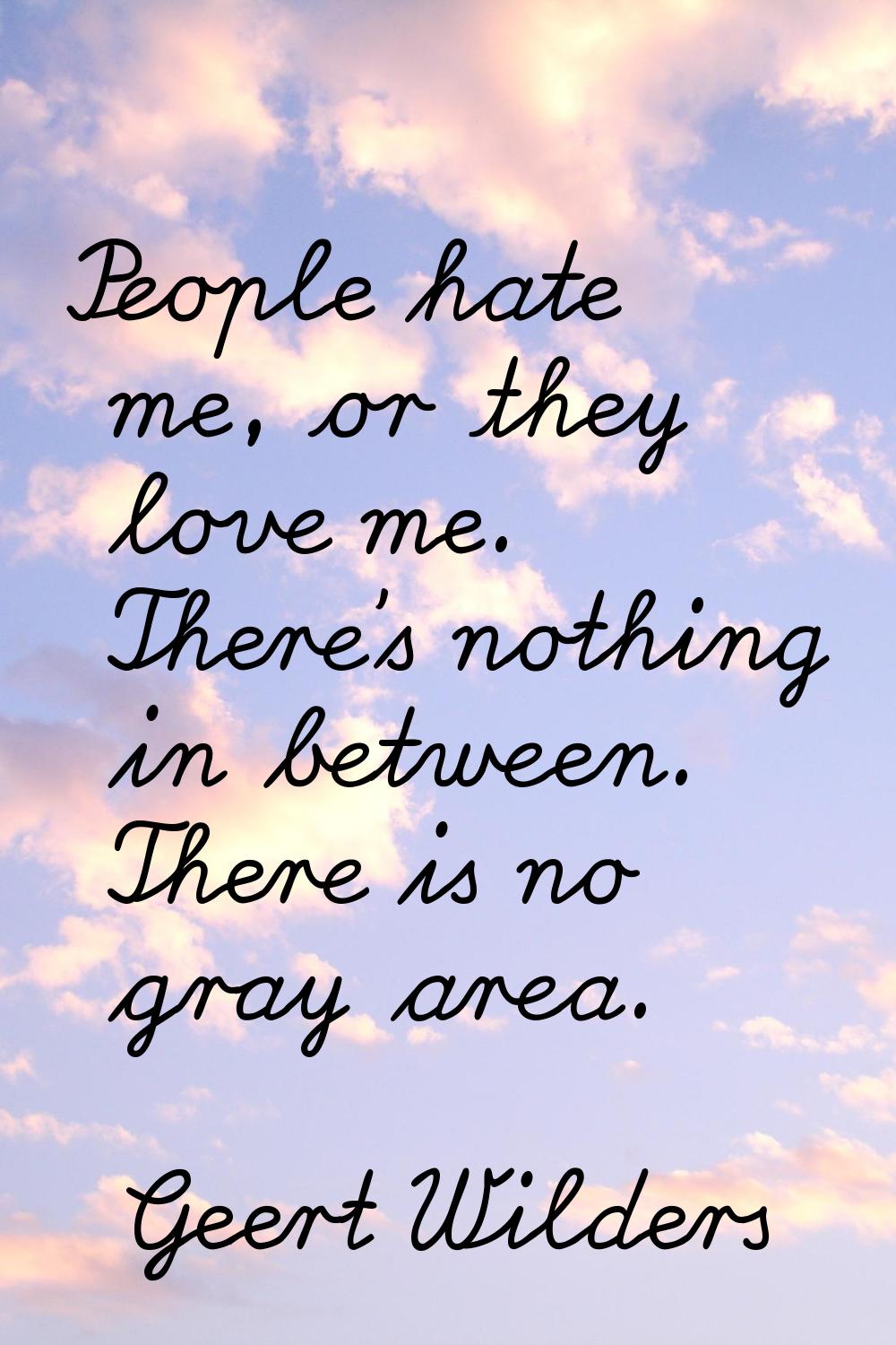 People hate me, or they love me. There's nothing in between. There is no gray area.
