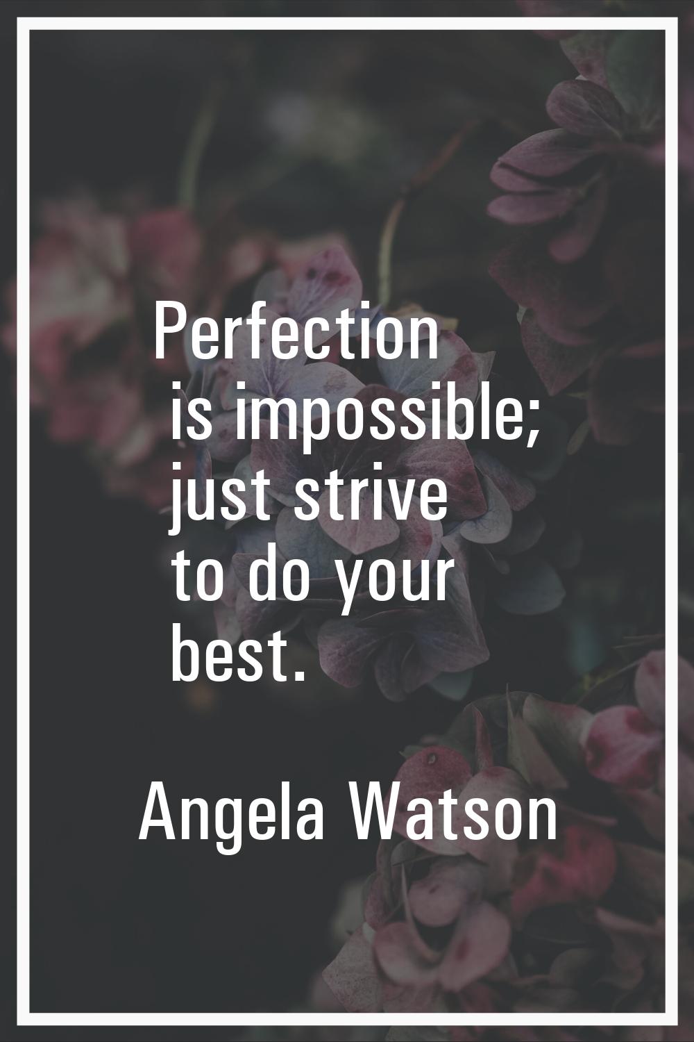Perfection is impossible; just strive to do your best.