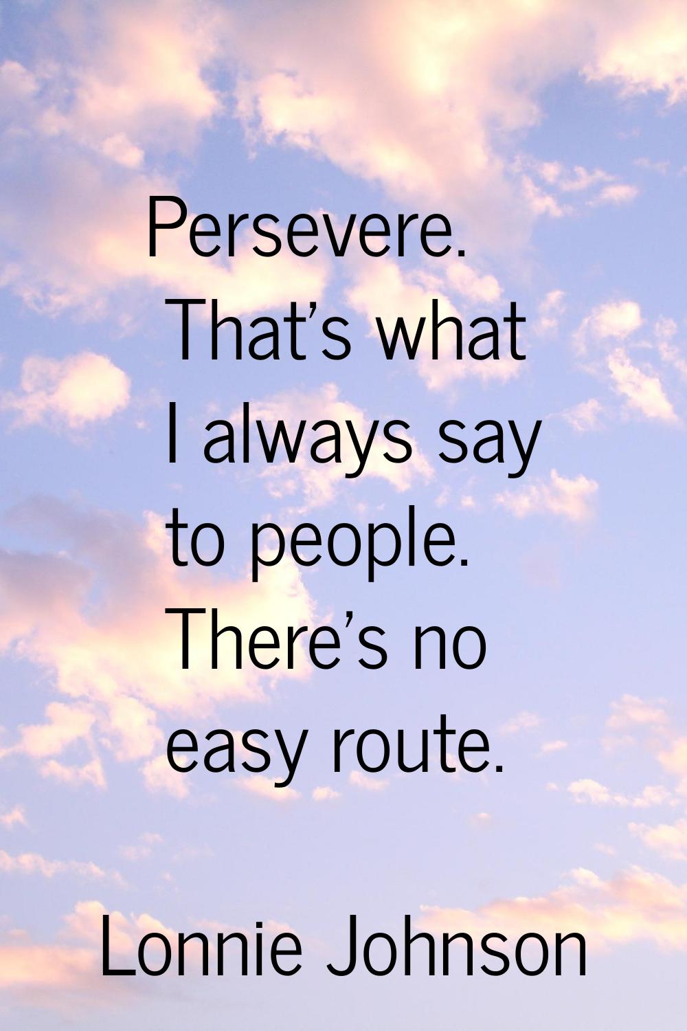 Persevere. That's what I always say to people. There's no easy route.