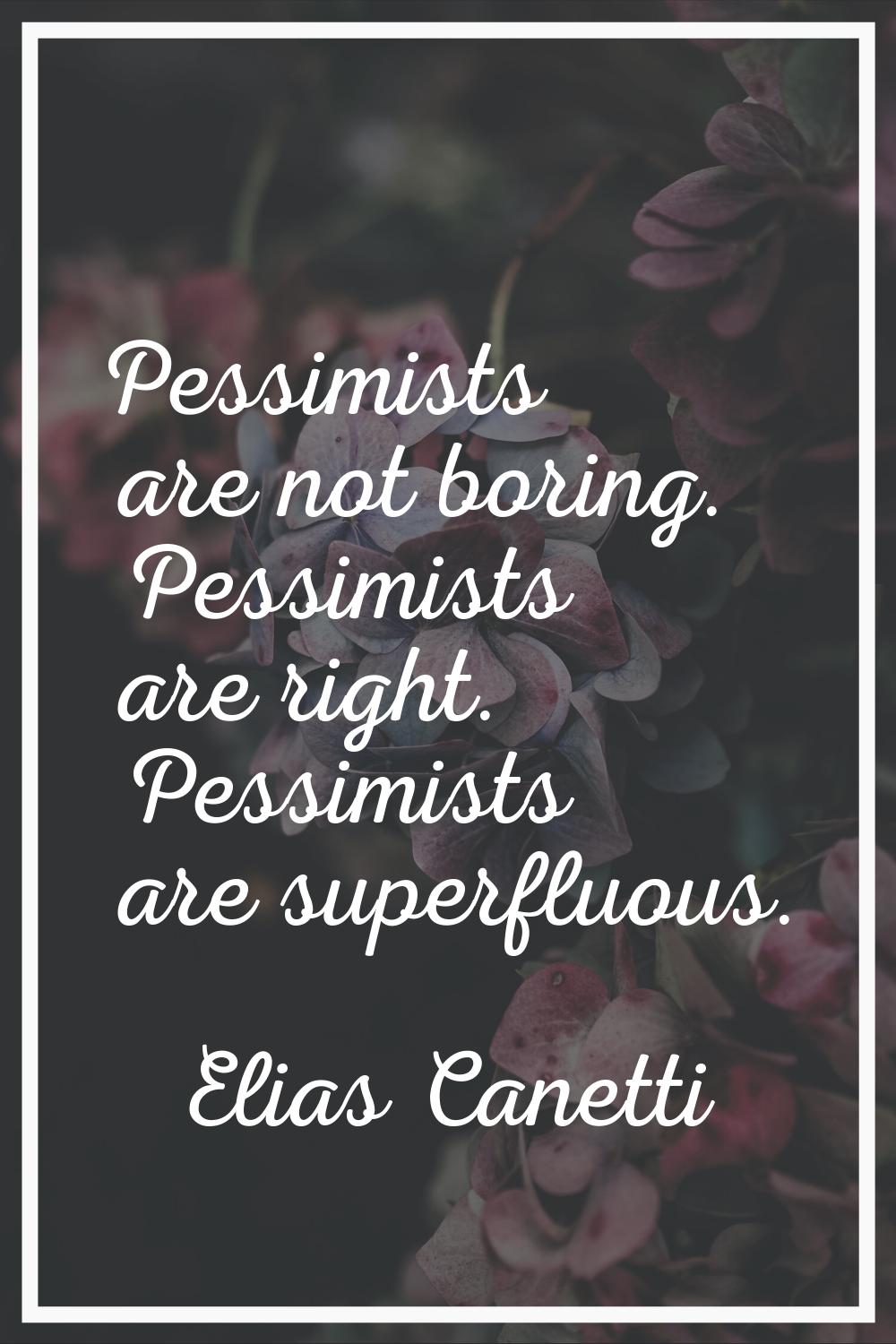 Pessimists are not boring. Pessimists are right. Pessimists are superfluous.