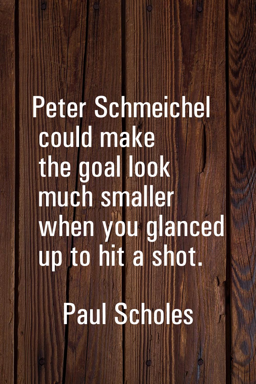 Peter Schmeichel could make the goal look much smaller when you glanced up to hit a shot.