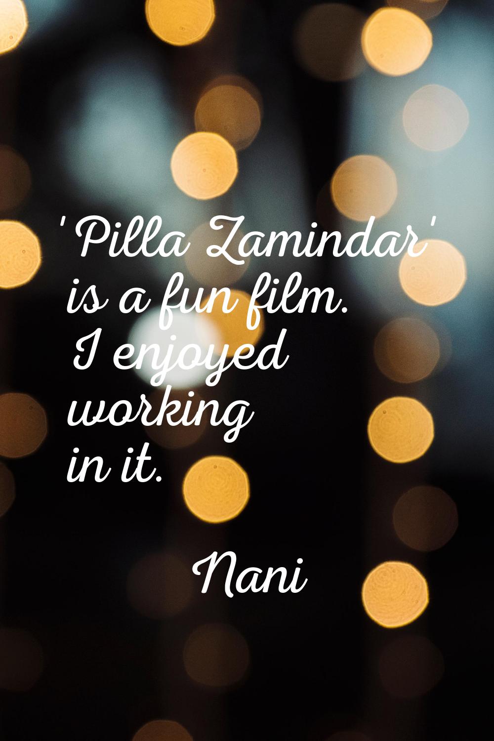 'Pilla Zamindar' is a fun film. I enjoyed working in it.