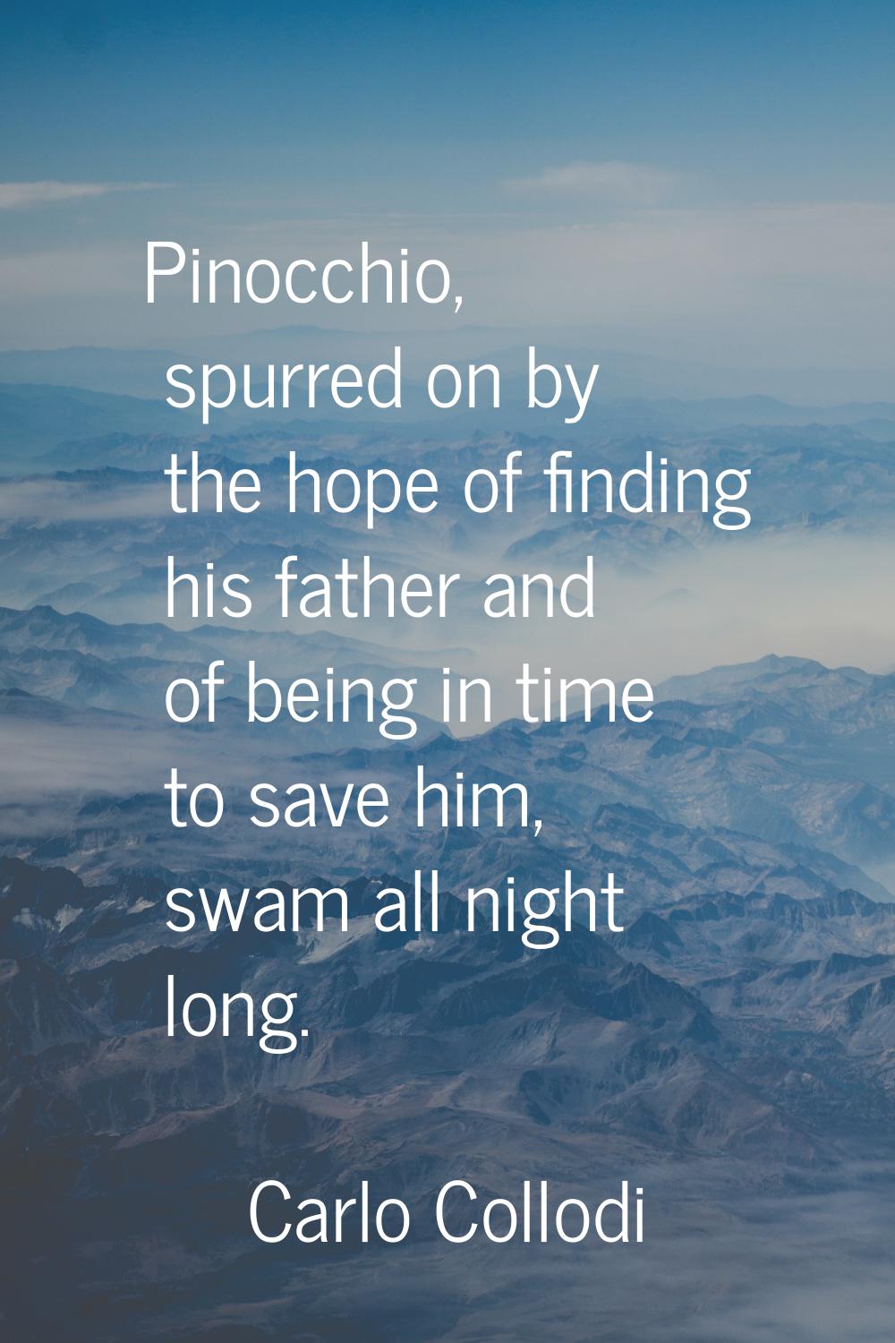 Pinocchio, spurred on by the hope of finding his father and of being in time to save him, swam all 