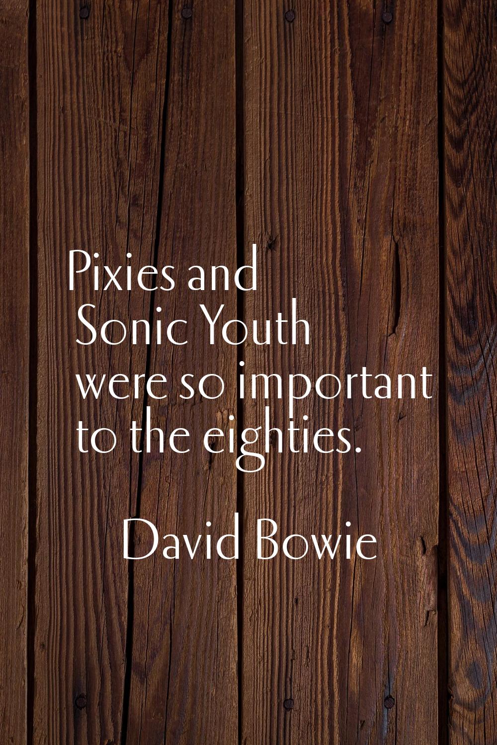 Pixies and Sonic Youth were so important to the eighties.