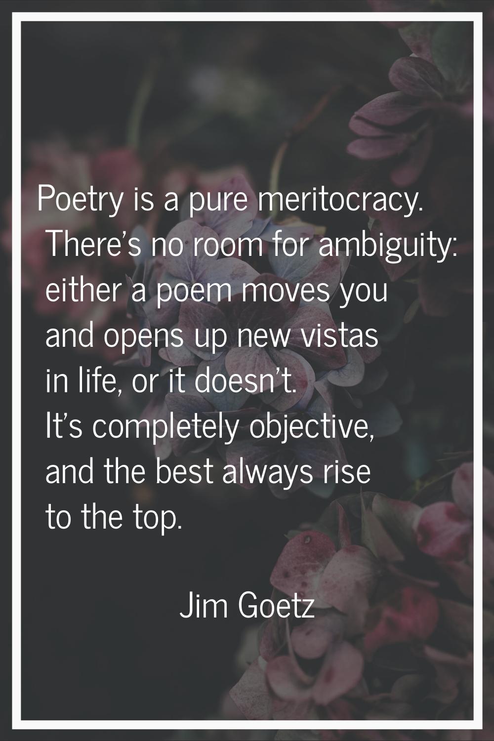 Poetry is a pure meritocracy. There's no room for ambiguity: either a poem moves you and opens up n