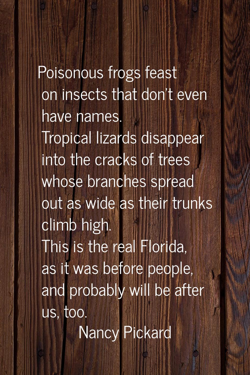 Poisonous frogs feast on insects that don't even have names. Tropical lizards disappear into the cr