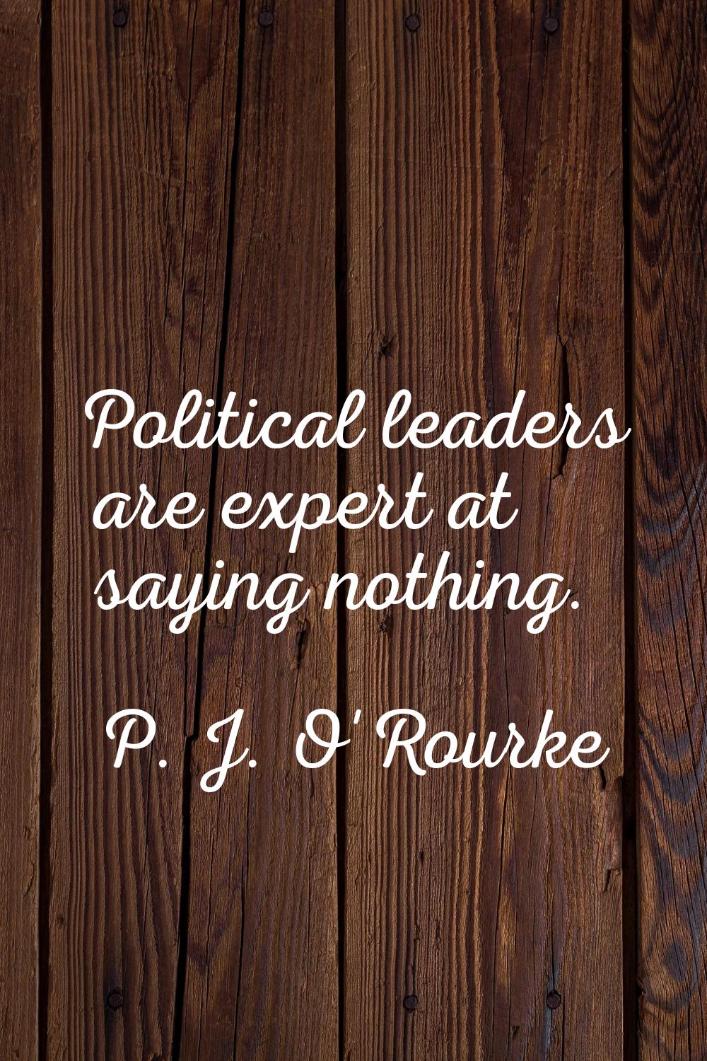 Political leaders are expert at saying nothing.