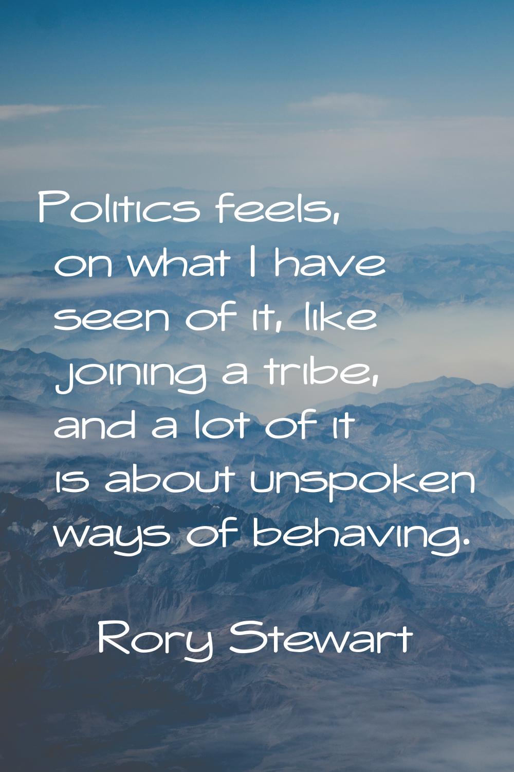Politics feels, on what I have seen of it, like joining a tribe, and a lot of it is about unspoken 
