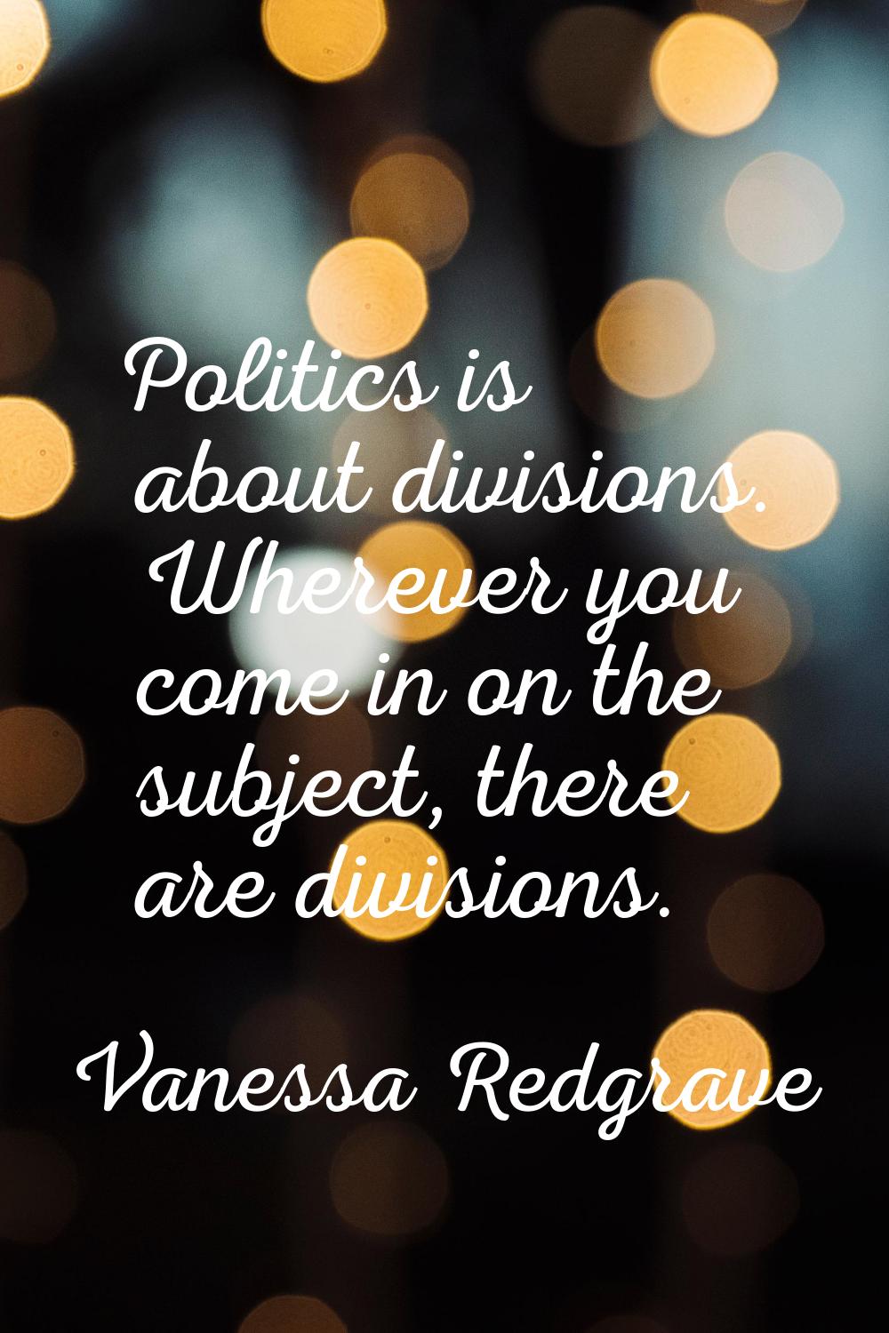 Politics is about divisions. Wherever you come in on the subject, there are divisions.