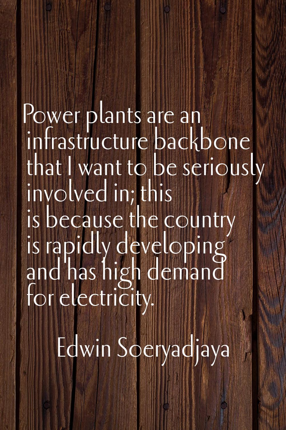 Power plants are an infrastructure backbone that I want to be seriously involved in; this is becaus