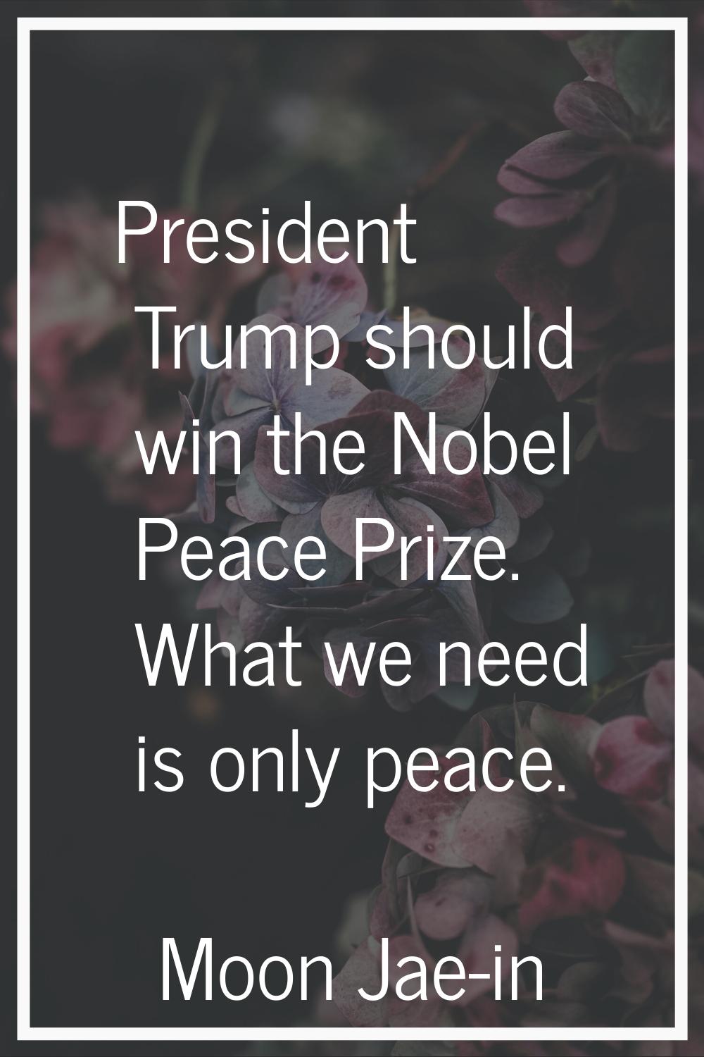 President Trump should win the Nobel Peace Prize. What we need is only peace.