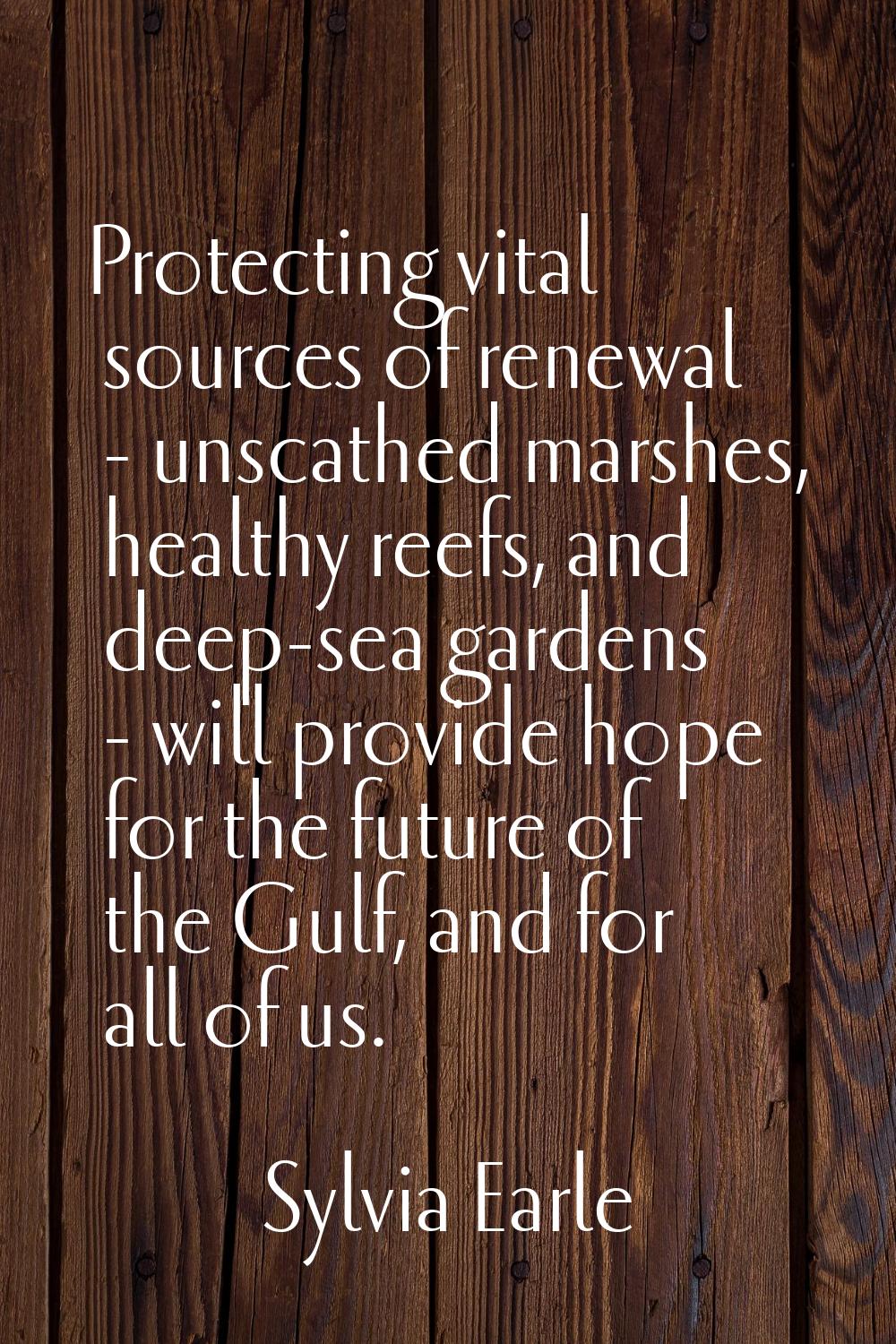 Protecting vital sources of renewal - unscathed marshes, healthy reefs, and deep-sea gardens - will