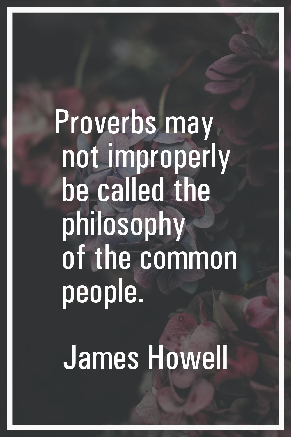 Proverbs may not improperly be called the philosophy of the common people.