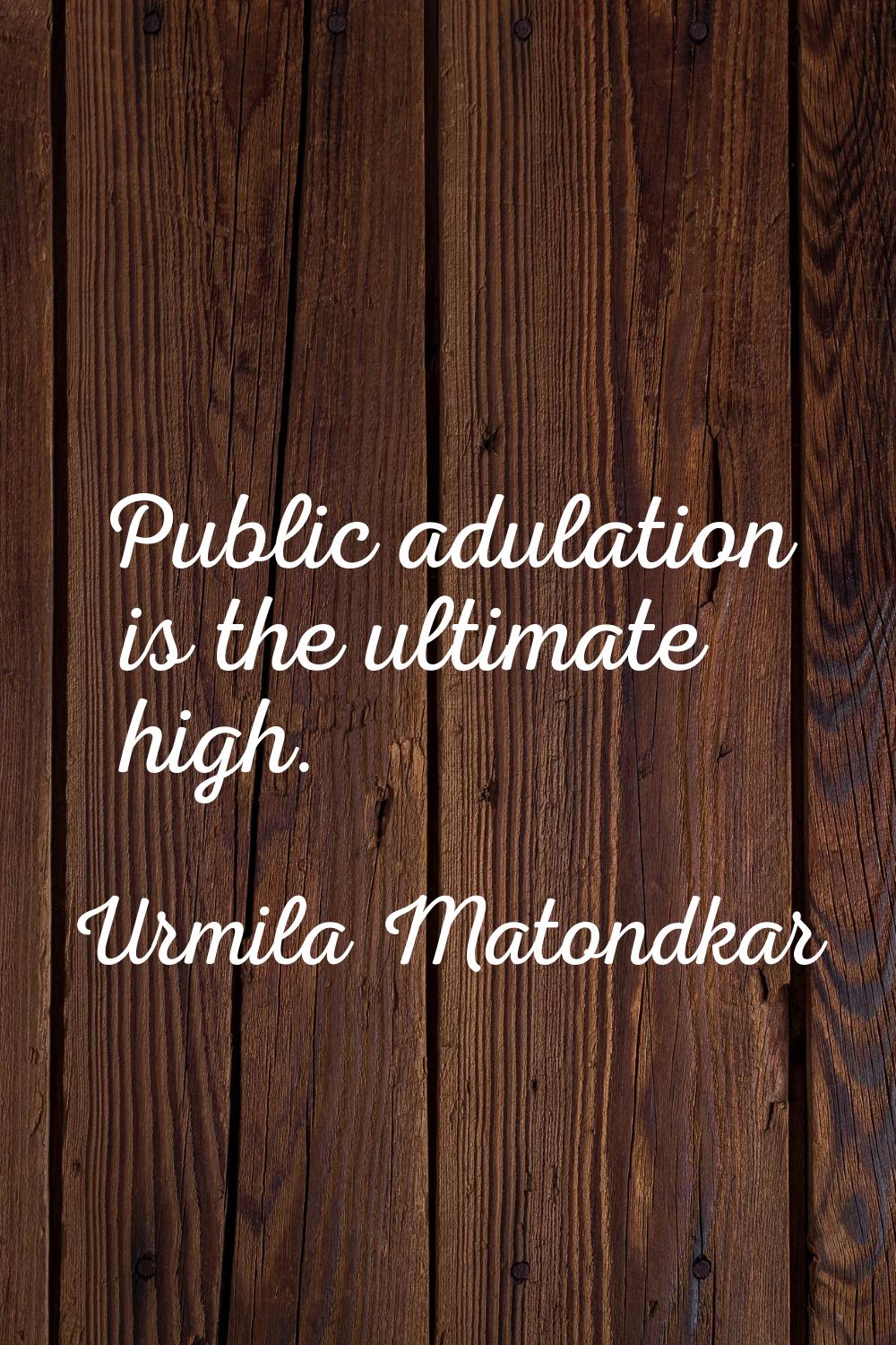 Public adulation is the ultimate high.