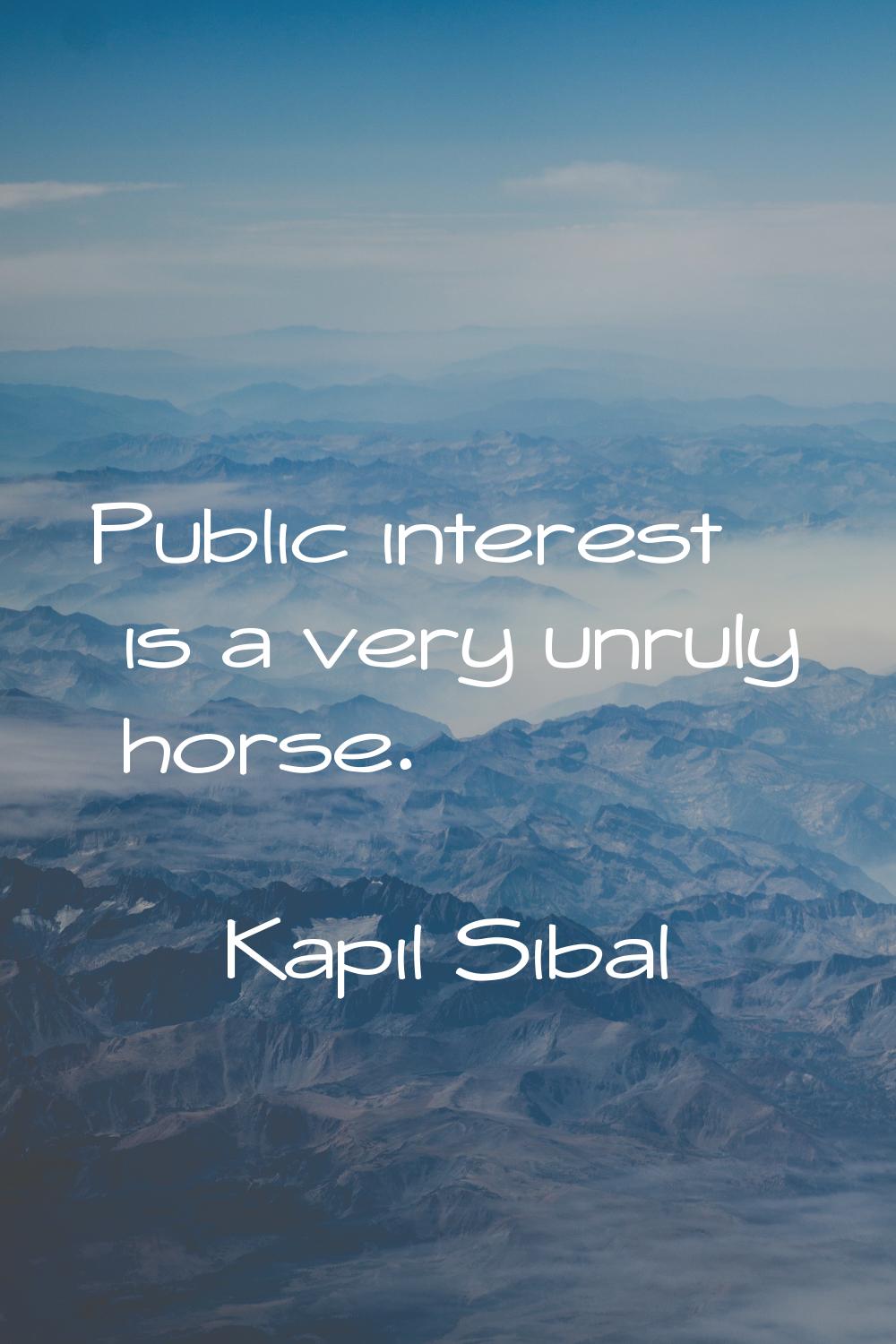 Public interest is a very unruly horse.
